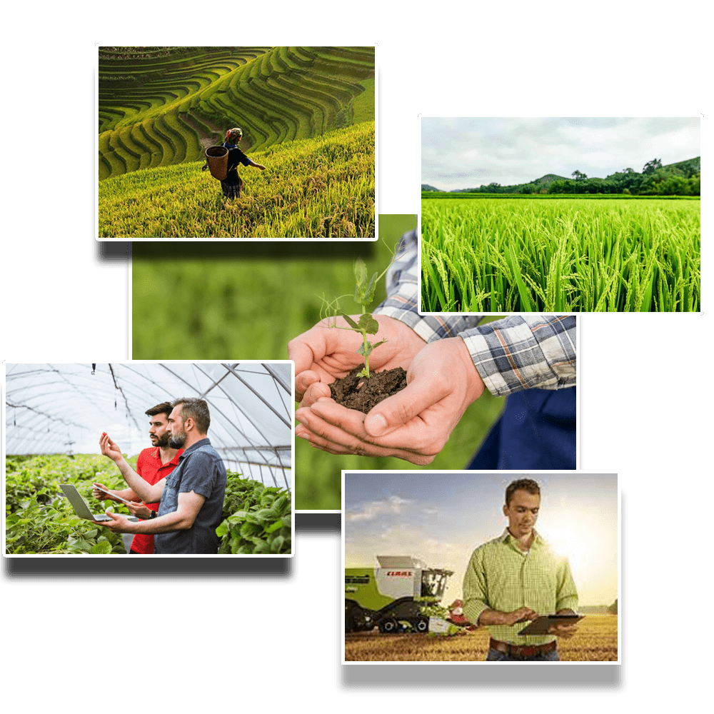 Department of agrarian development